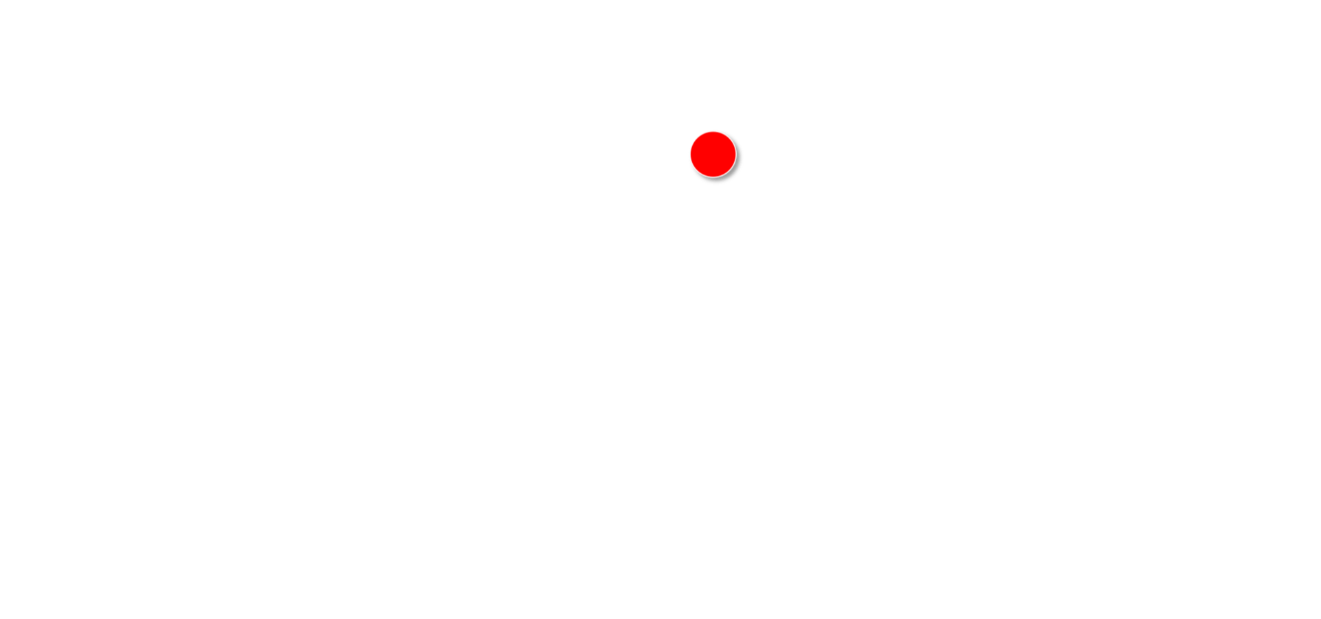 SPIN THE DAY